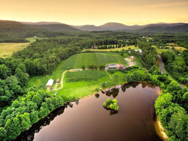 Glass House Winery Bed and Breakfast in Free Union, Virginia